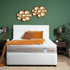 Wall Deco 9 Golden Circles - Aljraiwy Online