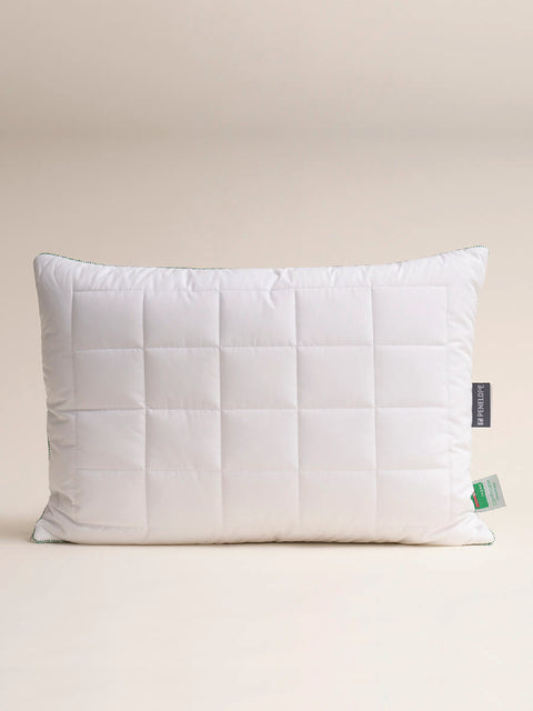 THERMOCLEAN PILLOW 50*70