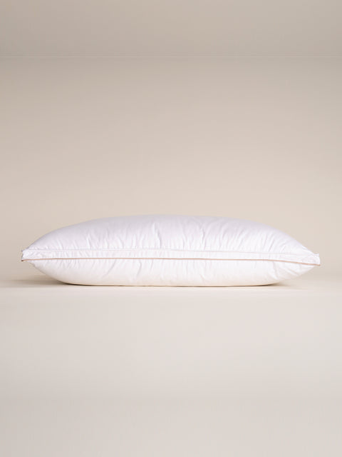 DOVE FIRM PILLOW 50*70+2,5