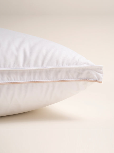 DOVE FIRM PILLOW 50*70+2,5