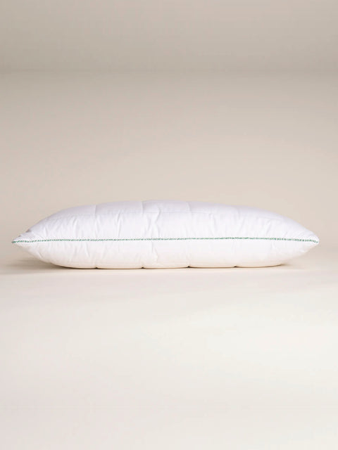 THERMOCLEAN PILLOW 50*70