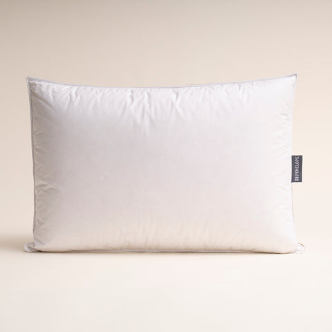 DOVE FIRM PILLOW 50*70+2,5 - Aljraiwy Online